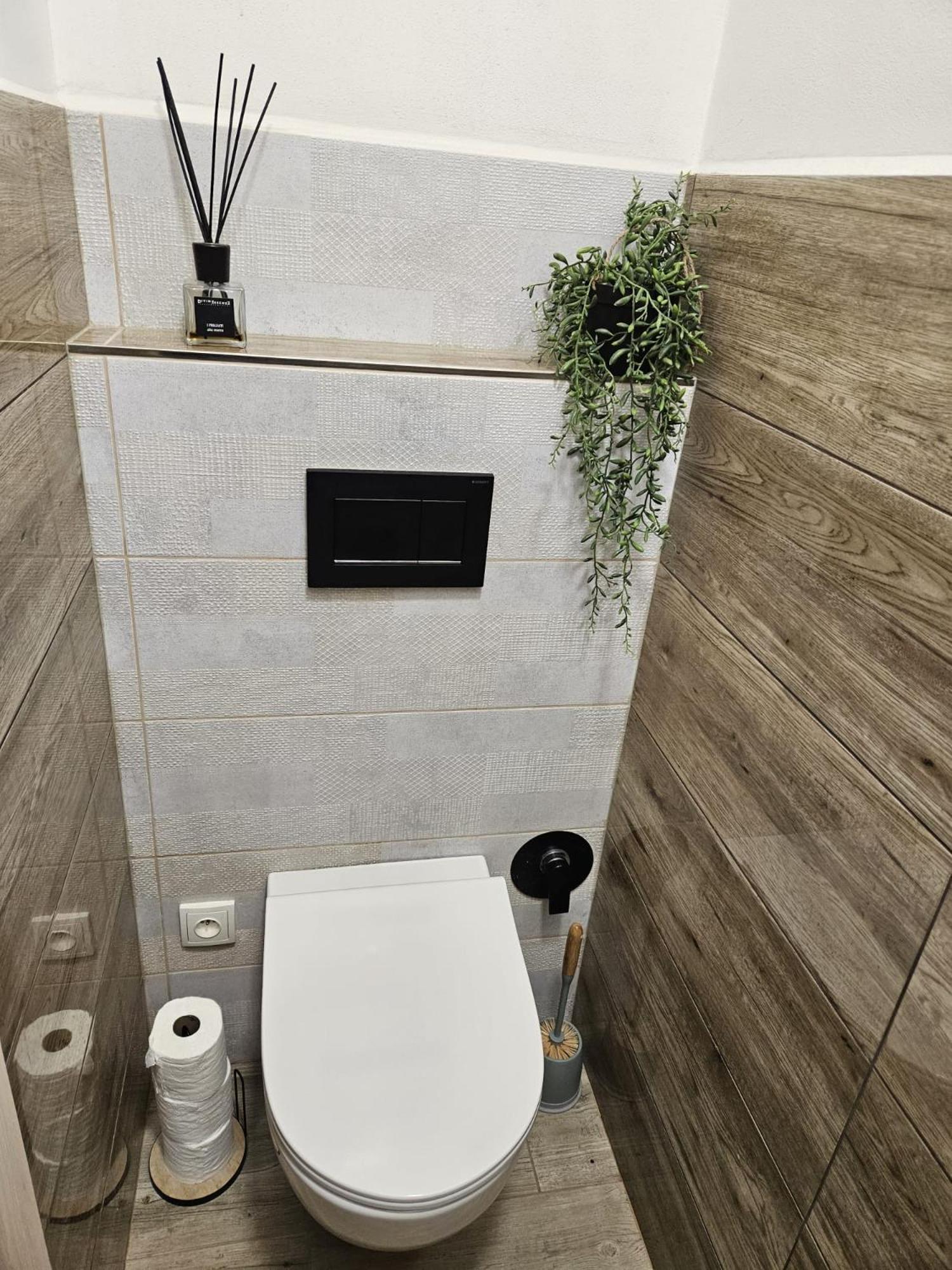 Apartman 184 - Vysoke Myto Exterior photo